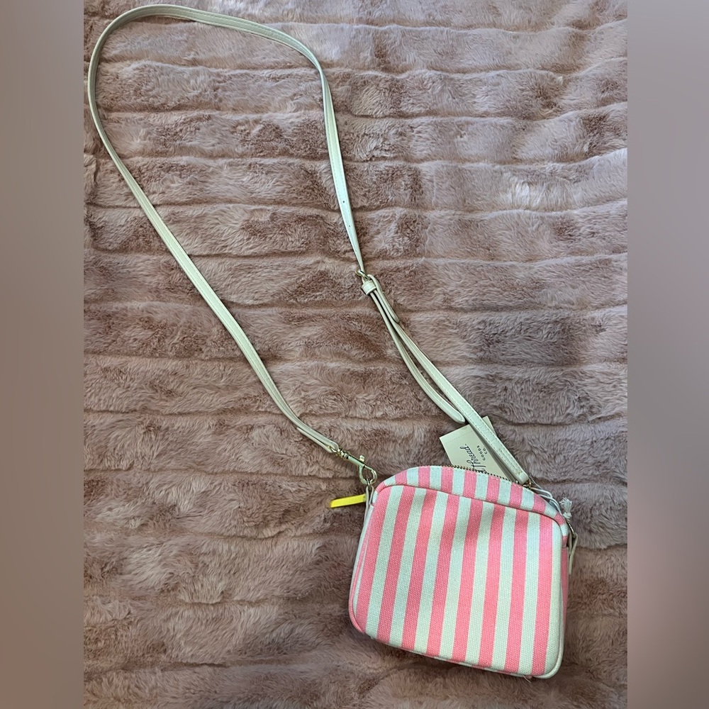 Striped Pink and Cream Crossbody Bag
